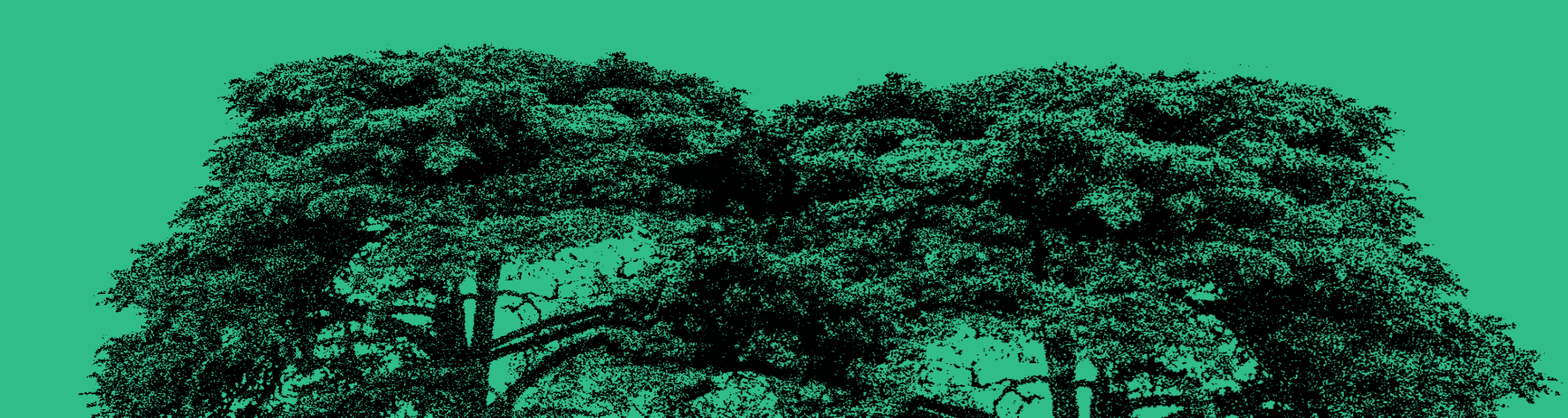 trees